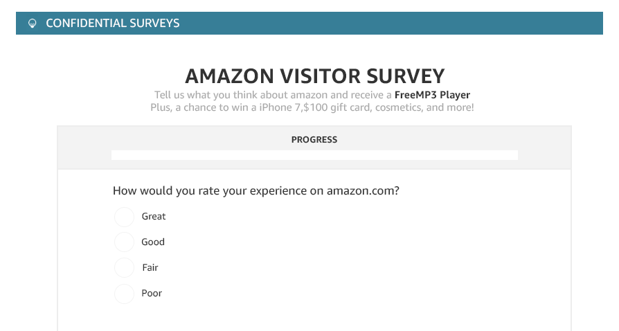 Amazon-Visitor-survey